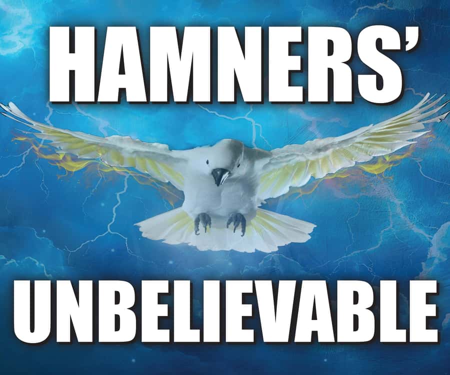 Branson: Hamners' Unbelievable Variety Show Entry Ticket - Jeff Brandt and Tamra Tinoco keep the music moving