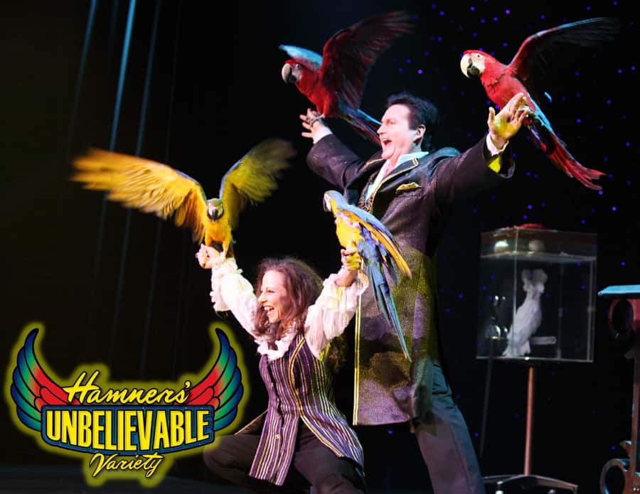 Branson: Hamners' Unbelievable Variety Show Entry Ticket - Aerial work and Cyr Wheel bring the biggest physical thrills