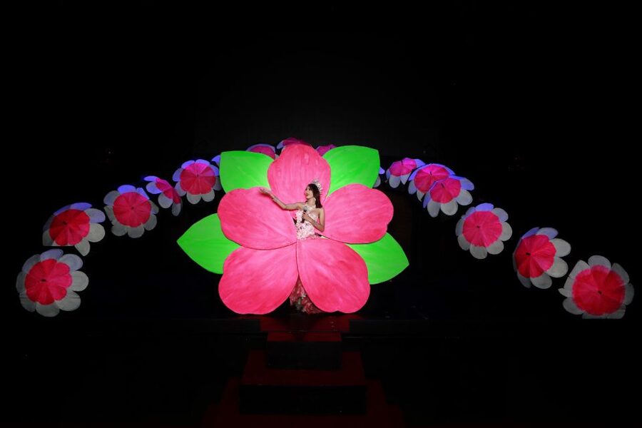 Chiang Mai: Siam Dragon Cabaret Show with Optional Transfer - Standard or VIP seating: which ticket makes sense?