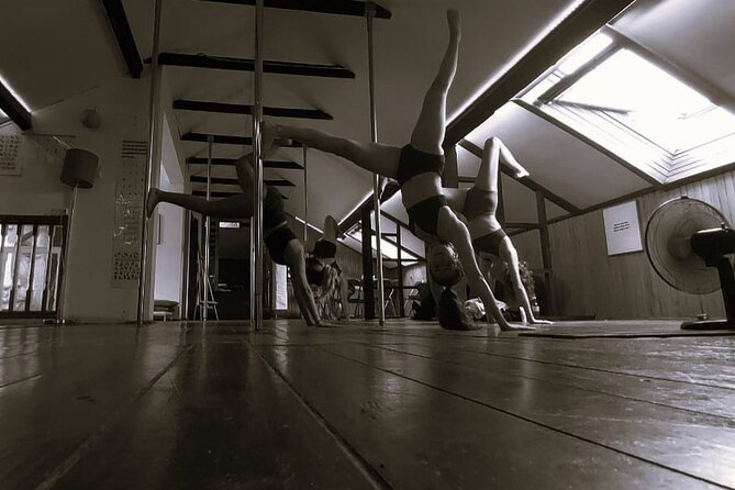 Dance Class (choose 1: Pole Dance, Burlesque or Aerial Silk/Hoop) - What happens during the one-hour class
