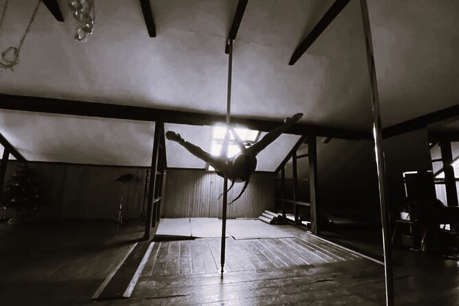 Dance Class (choose 1: Pole Dance, Burlesque or Aerial Silk/Hoop) - Group class or private lesson?