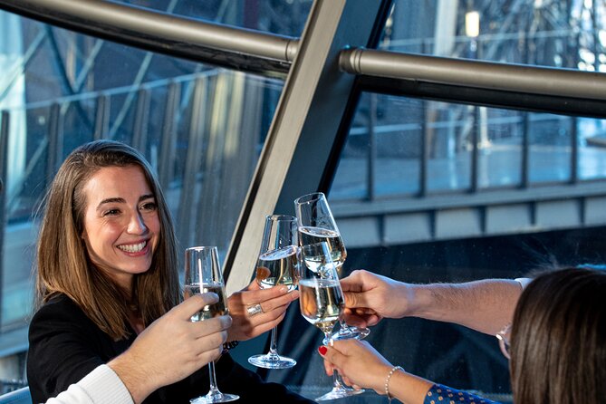 Eiffel Tower Dinner & cruise, optional Moulin Rouge - The Seine cruise and its major views