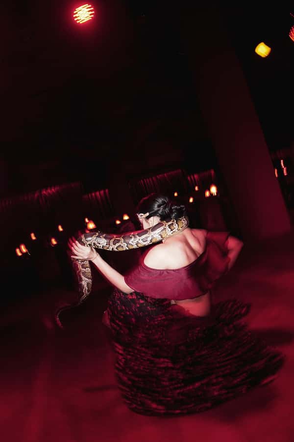 Hurghada: Naz Cabaret ticket with beverages - Entering through the bookshelf in Hurghada