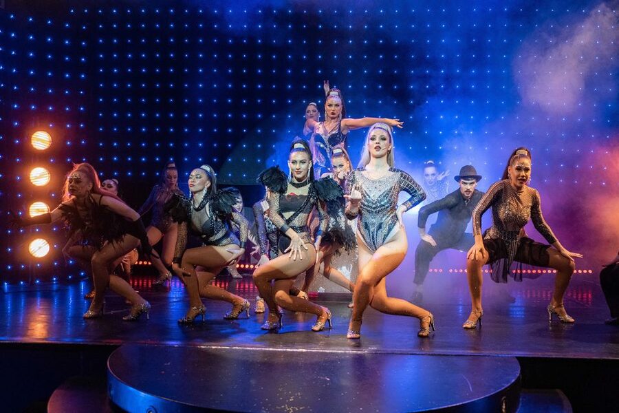 Prague: Evening Czech Cabaret Show at the Hybernia Theater - Who should book this Prague show?