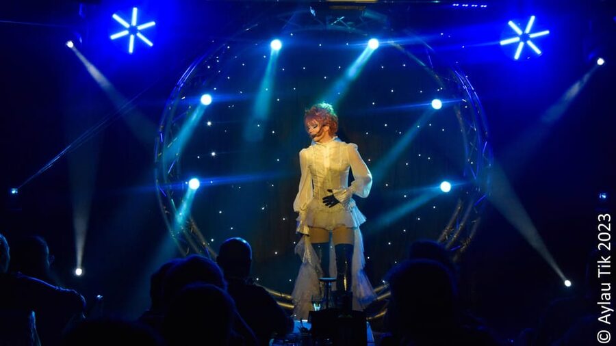 PRESTIGE DINER AND DRAG SHOW - The Artishow performance and its Paris theme