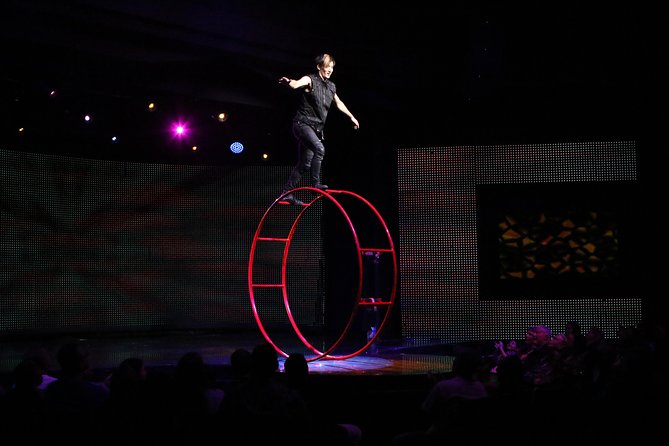 V - The Ultimate Variety Show at Planet Hollywood Resort and Casino - Key points to know before you book